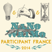 NaNoWriMo_participant_2014_180x180