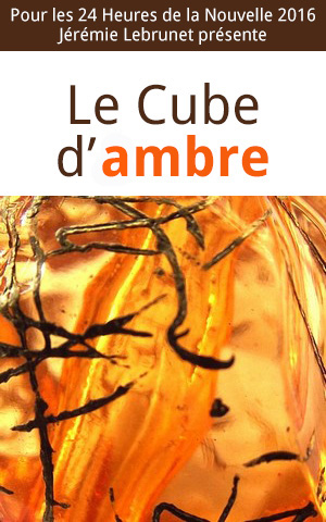 histoire de fantasy 24h de la nouvelle : Le Cube d'Ambre, par Jérémie Lebrunet